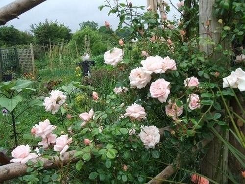 Cross Close House B&B Lostwithiel Luaran gambar